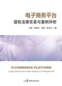 电子商务平台侵权法律实务与案例评析